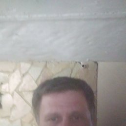 , 53 , 