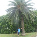 ���� �������, �����-��������� - ��������� 13 ���� 2025 � ������ ���� ����������