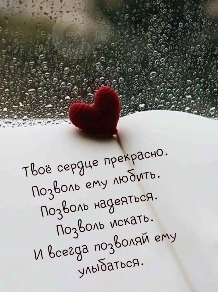 ������������ ������ - 17 ������ 2026 � 01:06