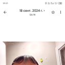 ���� ��������, ���������, 66 ��� - ��������� 10 ��� 2026 � ������ ���� ����������