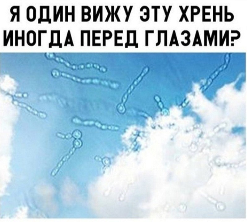 ? ,  ! - 25  2025  16:37
