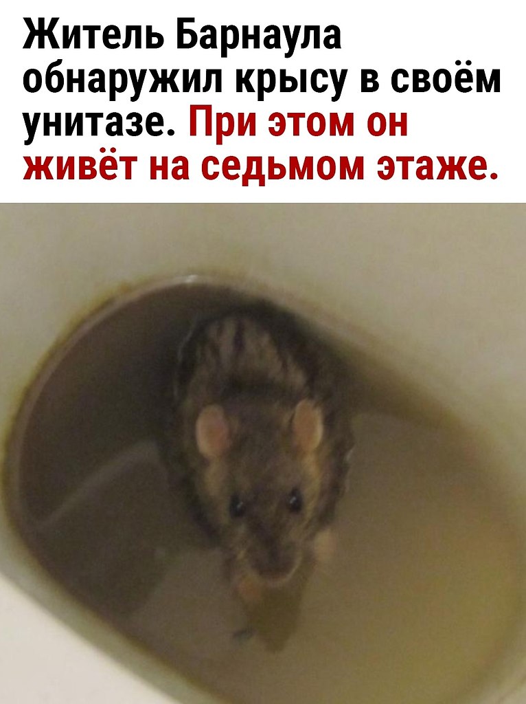  - 11  2025  18:58