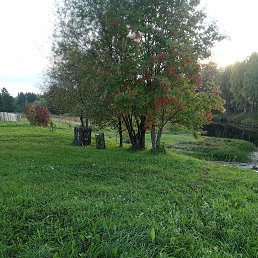 ���� �������, ������, 60 ��� - ��������� 6 ������ 2026