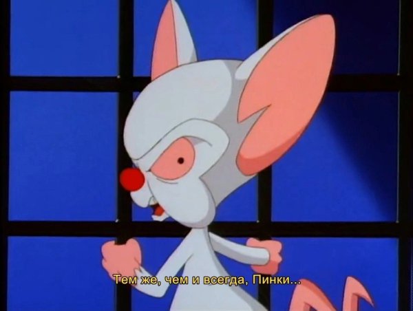 Pinky and the Brain /   , 1995  1998 - 3