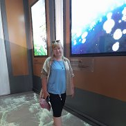 ����, 56 ���, �������