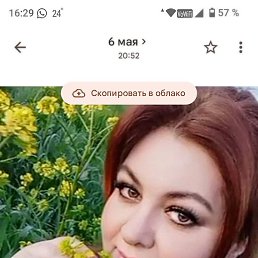 ��������, �������, 49 ���