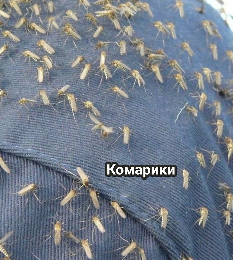          ,      .  ... - 2