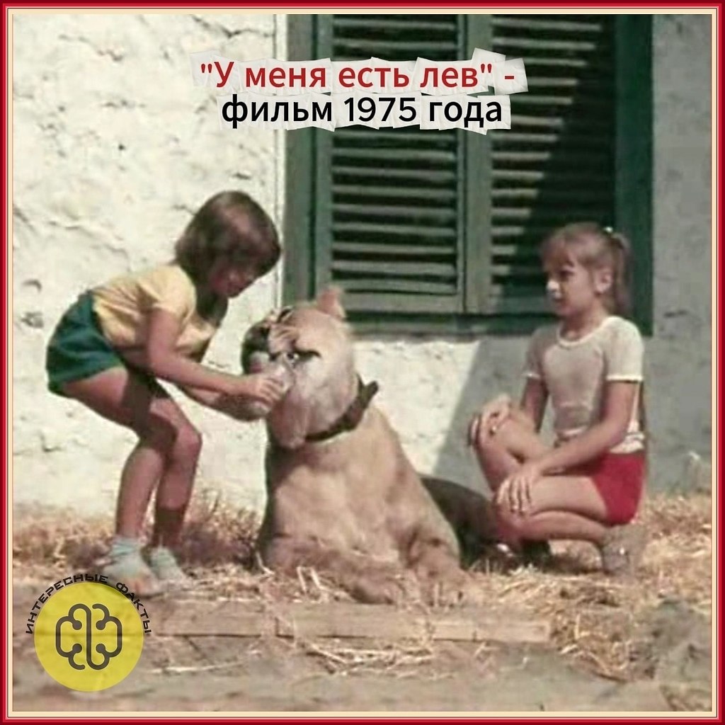 ��� ���� �� ����� ��� ����� ������. ����� �������� ���������. � ��������� ���� ����� ���������� ... - 3
