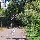 ���� �����, ������, 66 ��� - ��������� 10 �������� 2025 � ������ ���� ���...�