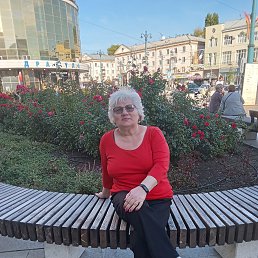 ���� ����, �������, 66 ��� - ��������� 2 ������ 2026