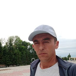 , 41, 
