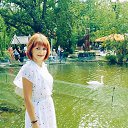 ���� �������, �������, 45 ��� - ��������� 29 ������� 2024 � ������ ���� ����������
