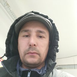 , 39, 