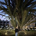 ���� �������, ������, 58 ��� - ��������� 13 ������ 2026