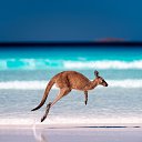 ���� �������, �����������, 41 ��� - ��������� 28 ������� 2024 � ������ ���� ����������