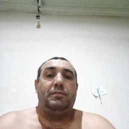 , 44, 