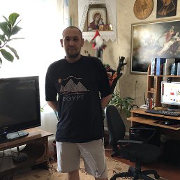 , 43 , 