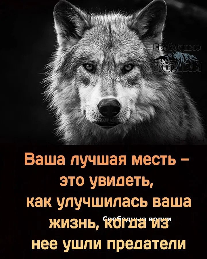  - 13  2024  15:48
