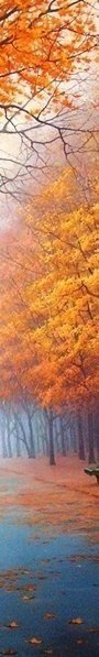    - 11  2024  14:36 - 5