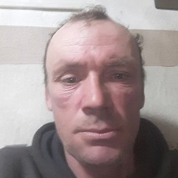 �������, ������, 46 ���