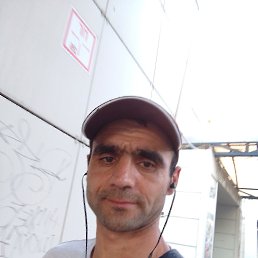 , 37 , 