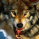 ���� ����, �����-���������, 35 ��� - ��������� 29 ������� 2024 � ������ ���� ����������