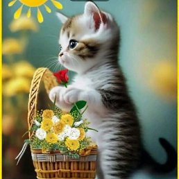 ����, ����������, 44 ����