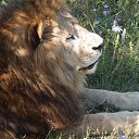 ���� ���, ���������, 68 ��� - ��������� 18 ������� 2025 � ������ ������ ��������