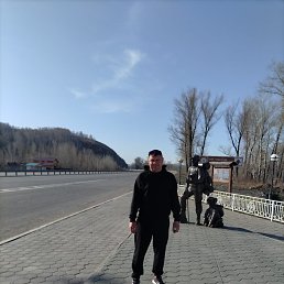 ������, 40 ���, �����