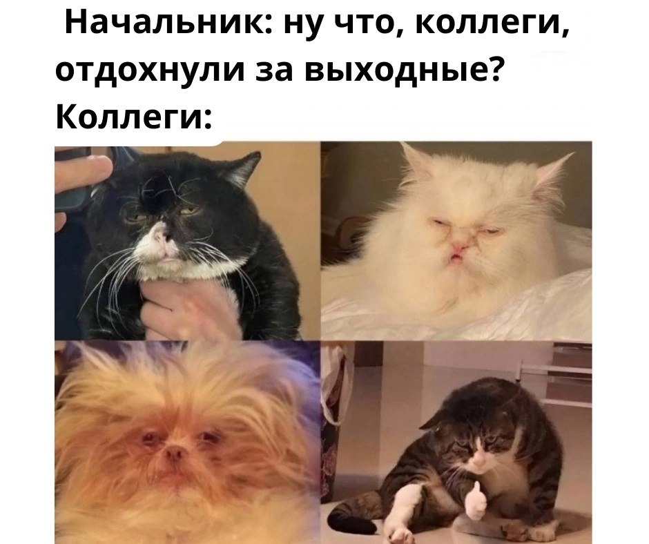  , .   ,     +5, +7 ...