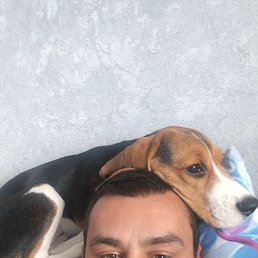 , 33, 