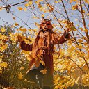 ���� ������, ������, 23 ���� - ��������� 23 ������� 2024 � ������ ���� ����������