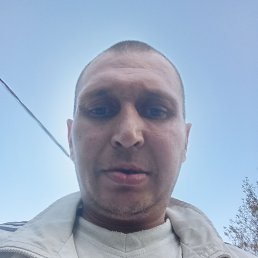����, 41 ���, ����