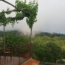 ���� �������, ����������, 73 ���� - ��������� 1 ������ 2024 � ������ ���� ����������