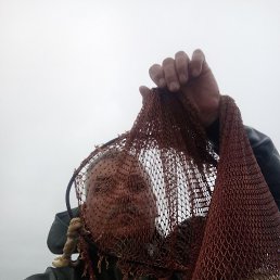 ������, ���������, 64 ����