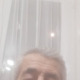 , 65 , 