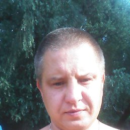 , 41, 