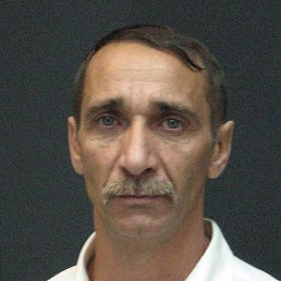 ����, ������, 62 ����