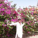 ���� ������, ��������������, 63 ���� - ��������� 21 ��� 2025 � ������ ���� ����������