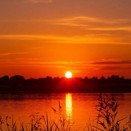 �������, �������, 33 ����