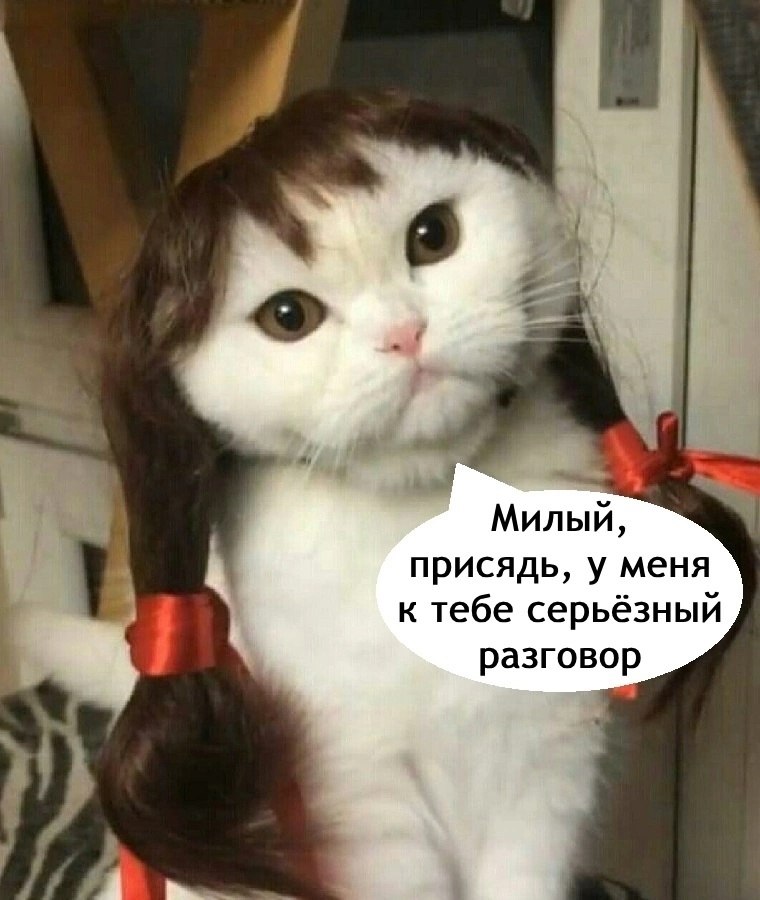  Just Business - 11  2025  18:05