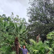 ����, 44 ����, ���������