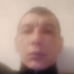 ������, �������, 33 ����