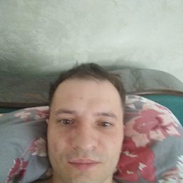 , 40, 