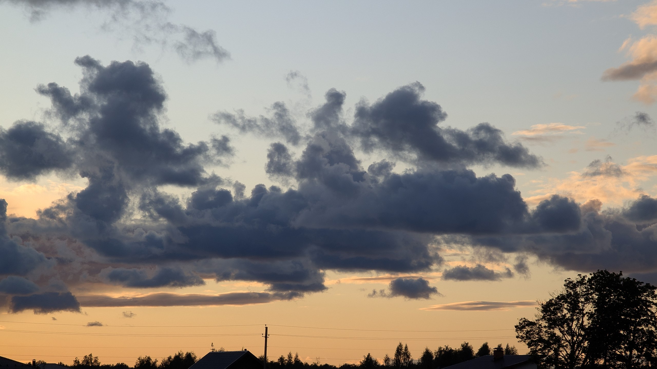  - 29  2025  23:31 - 8