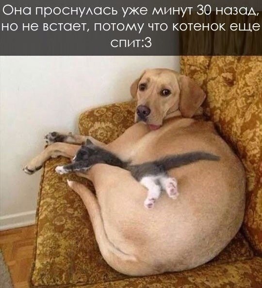 ? ,  ! - 14  2025  12:33