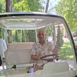 , 56, 