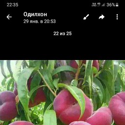 ���� ������, ������, 47 ��� - ��������� 5 ����� 2024