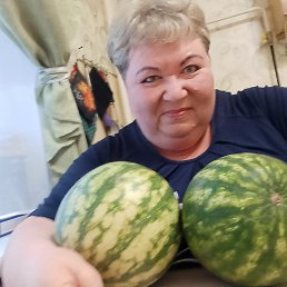 , 58, 