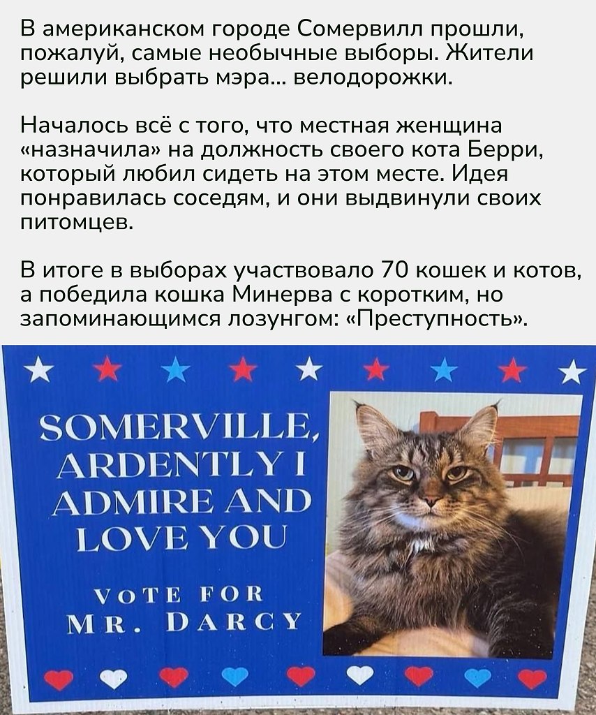 Даже самые серьёзные вещи вроде выборов могут превратиться в весёлую игру — особенно если в политике ... - 2